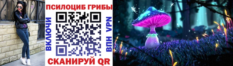 darknet формула  Нестеров  Псилоцибиновые грибы мухоморы  наркотики 